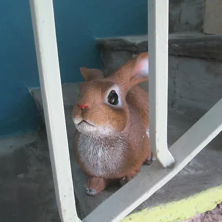 Ciuri Ciuri * Acireale