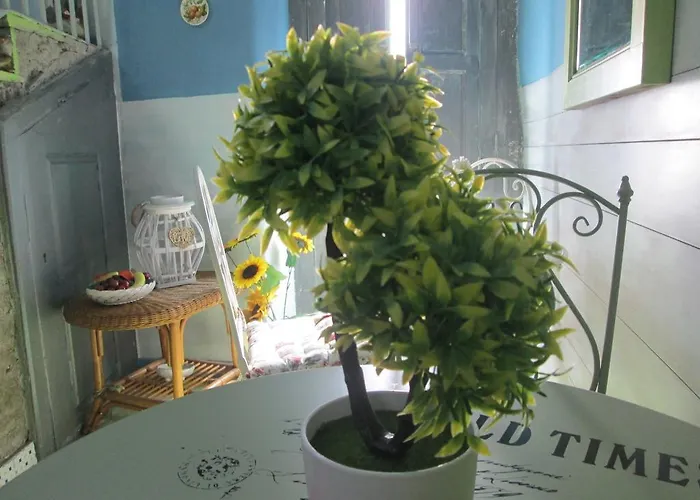 Ciuri Ciuri