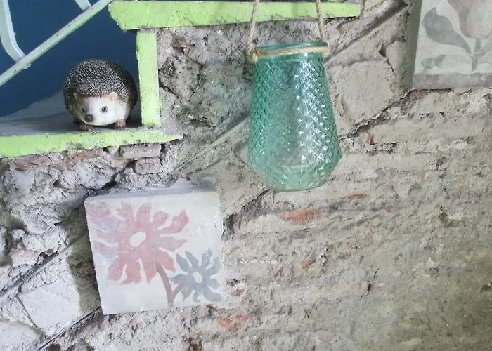 Ciuri Ciuri Apartament