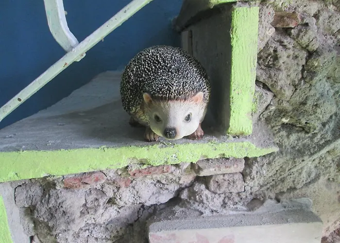 Apartament Ciuri Ciuri *